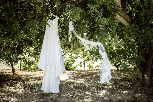 Vestido de novia largo y blanco y un velo colgando de un árbol en el verano - Foto, Imagen