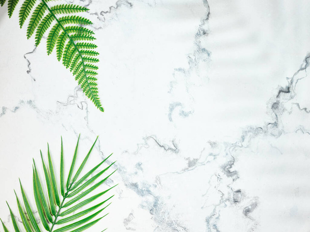 green tropical leaves on marble surface - Fotografie, Obrázek