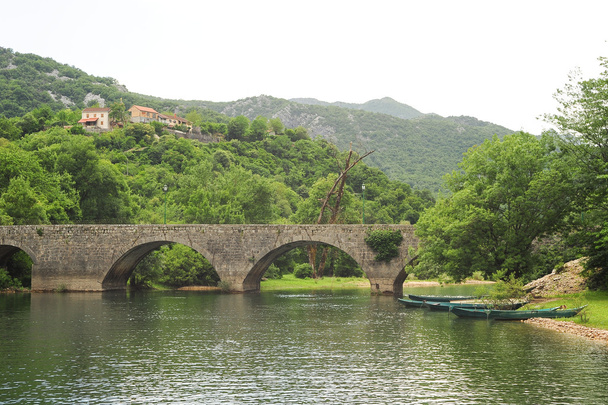 το παλιό τοξωτό πέτρινη γέφυρα της Ριέκα crnojevica - Φωτογραφία, εικόνα