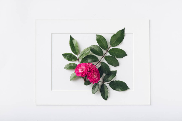 flower with leaves in a frame - Foto, Imagen