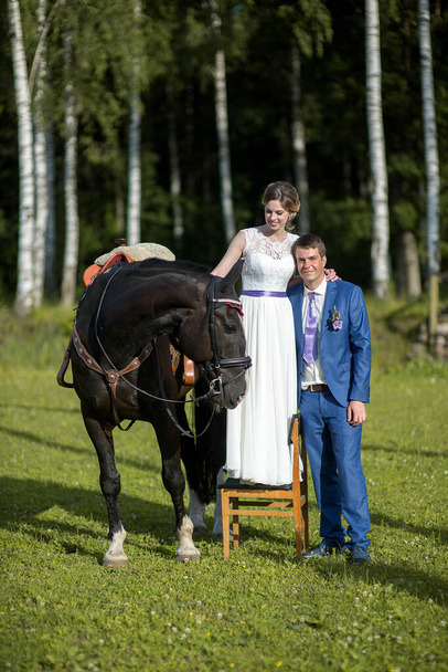 newly married couple stand with beautiful big horse on nature, summer sunny day - Photo, Image