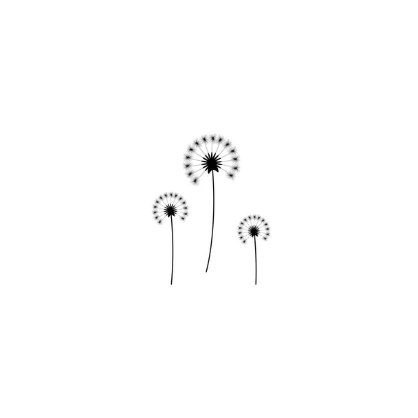 three dandelion flowers with curved sprig. Big bloom with big shabby petals. Isolated on white. Vector illustration. Eco style. Nature symbol. - Vector, Image