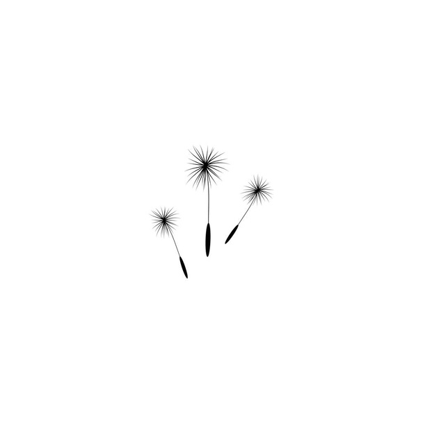 three dandelion flower seeds. Big bloom with big shabby petals. Isolated on white. Vector illustration. Eco style. Nature symbol. - Вектор, зображення