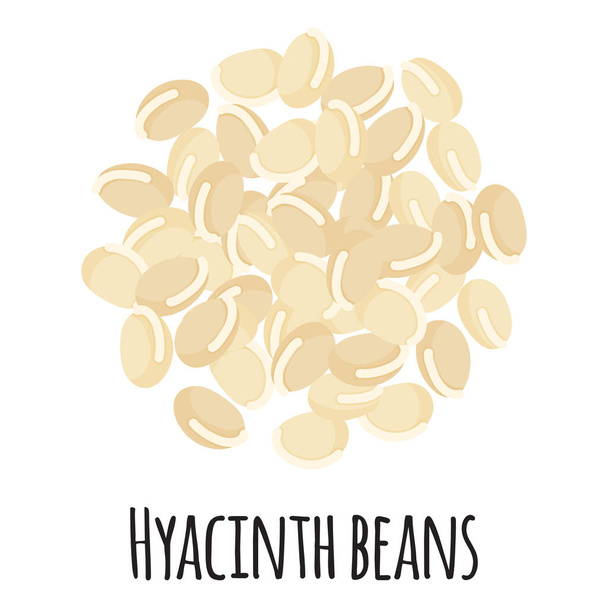 Hyacinth beans for template farmer market design, label and packing. Natural energy protein organic super food. Vector cartoon isolated illustration. - Vector, Image