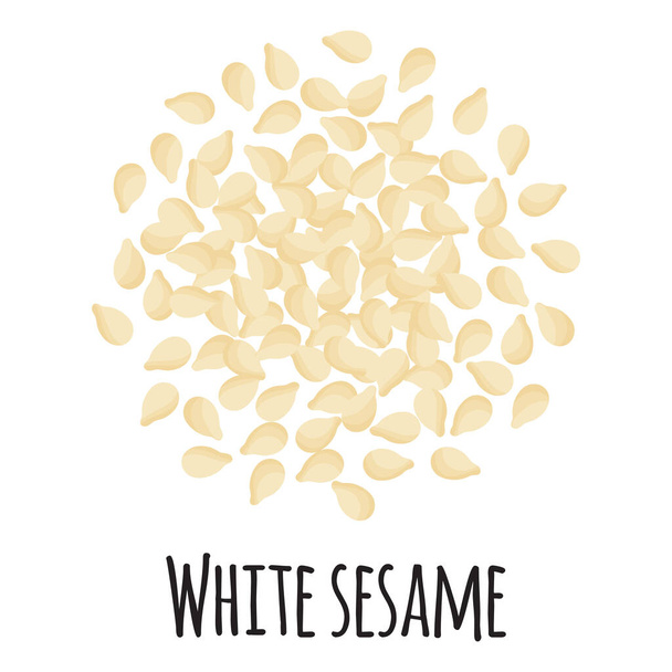 White sesame for template farmer market design, label and packing. Natural energy protein organic super food. Vector cartoon isolated illustration. - Vector, Image
