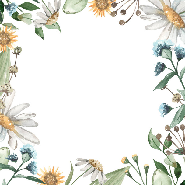 Oregano flowers, chamomiles, leaves, dried flowers Watercolor square frame - Fotografie, Obrázek