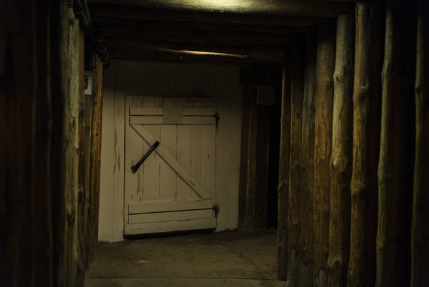 Antiguo pasillo apuntalado con vigas de madera y una puerta cerrada en la mina de sal de Wieliczka, Cracovia, Polonia  - Foto, Imagen