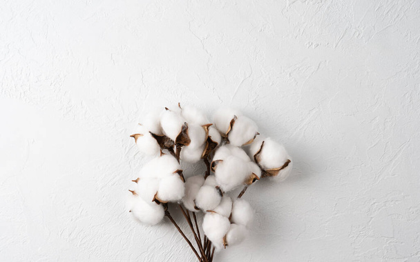 bouquet di rami di fiori di cotone su sfondo bianco, vista dall'alto, posa piatta, spazio per il testo - Foto, immagini