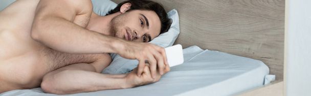 young shirtless men typing on mobile phone in bed, banner - Foto, Imagem