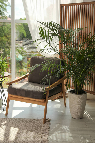 Indoor terrace interior with stylish furniture and houseplants - Foto, Imagem