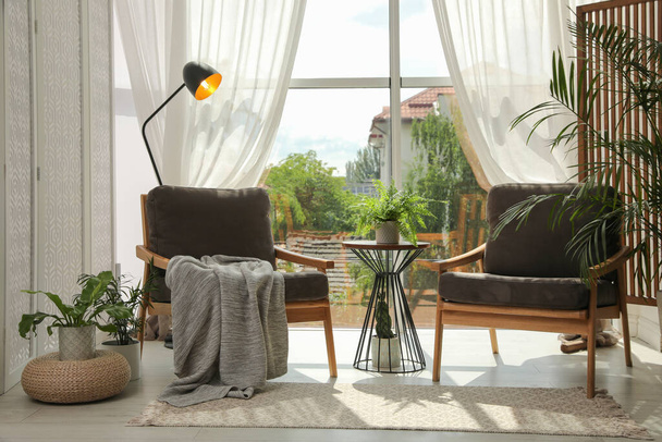 Indoor terrace interior with stylish furniture and houseplants - Foto, immagini
