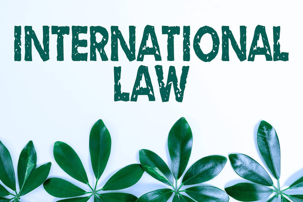 Χειρόγραφο κείμενο Διεθνές Δίκαιο. Επιχειρησιακό σύστημα έννοιας των συνθηκών και των συμφωνιών μεταξύ των εθνών Παρουσίαση Θέμα Φύση Ιδέες και Σχέδια, Εμφάνιση Ανανεώσιμων Υλικών - Φωτογραφία, εικόνα