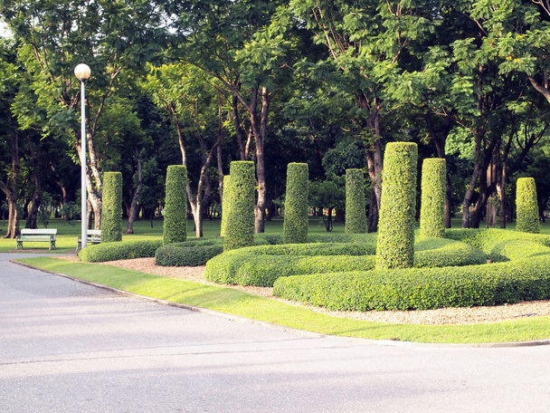 Jardim em Chatuchak parque público, Tailândia
 - Foto, Imagem