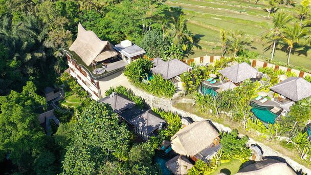 Vista aérea de hotel de lujo con villas y piscina en selva tropical y palmeras. Lujosa villa, pabellón en el bosque, Ubud, Bali - Foto, Imagen