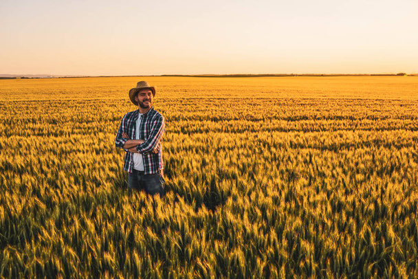 Ο αγρότης στέκεται στο χωράφι του με τα σιτηρά. Είναι ευτυχισμένος λόγω της επιτυχημένης σποράς.. - Φωτογραφία, εικόνα