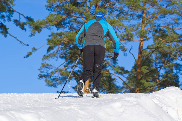 Esquí de fondo en el soleado día de invierno. esquí de fondo, primer plano. - Foto, Imagen