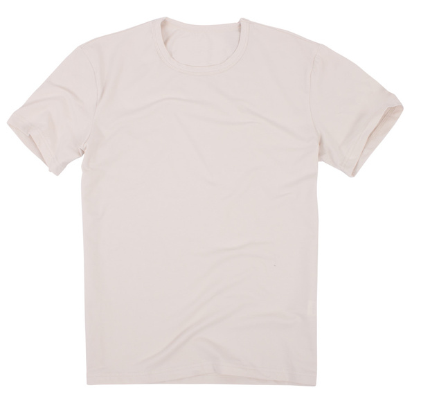 Mens t-shirt isolated on white background. - Fotó, kép