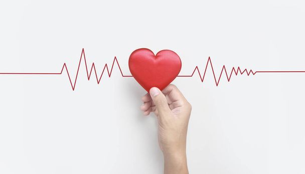 Kırmızı bir kalbi tutan eller. kalp sağlığı bağışı kavramları - Fotoğraf, Görsel