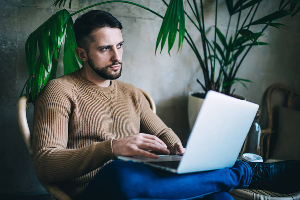 Concentrated bearded man browsing laptop and looking away while sitting with crossed legs on armchair in loft cafe with green plant - Foto, Imagem
