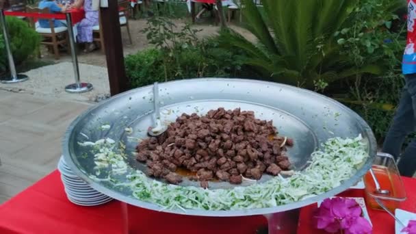 delicious food in nature, fried meat in pieces in spices on large plate with onions - Video