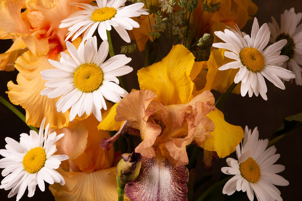 Ζωντανές κίτρινες ίριδες και χαμομήλι. Άνοιξη λουλούδια για συγχαρητήρια. - Φωτογραφία, εικόνα