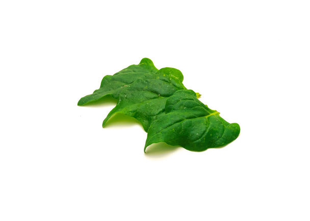 Три тетрагониевые тетрагониоиды или новозеландские листья шпината выделены на белом фоне. Листовой овощ, цветущее растение в инжире семьи Мэриголд - Фото, изображение