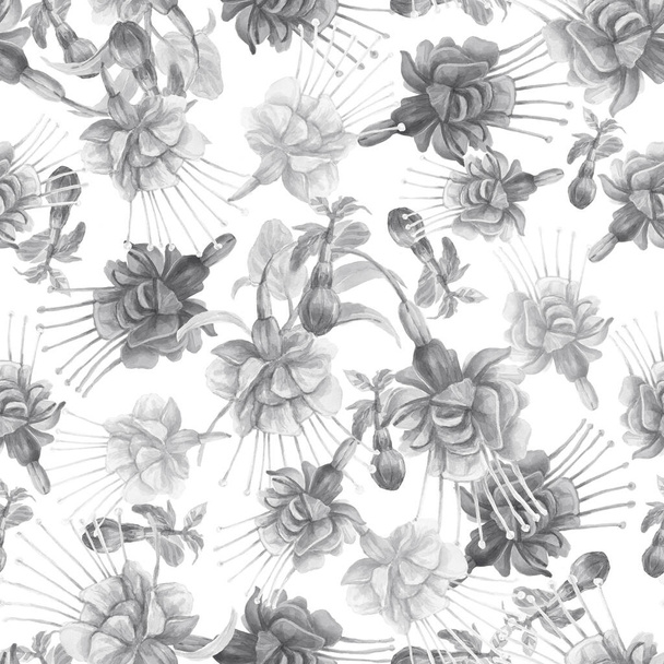 Квіти фуксії Колібрі птахів аквареллю мальовані вручну ілюстрації. Віршований безшовний друк текстильний реалізм ескіз старовинний
 - Фото, зображення