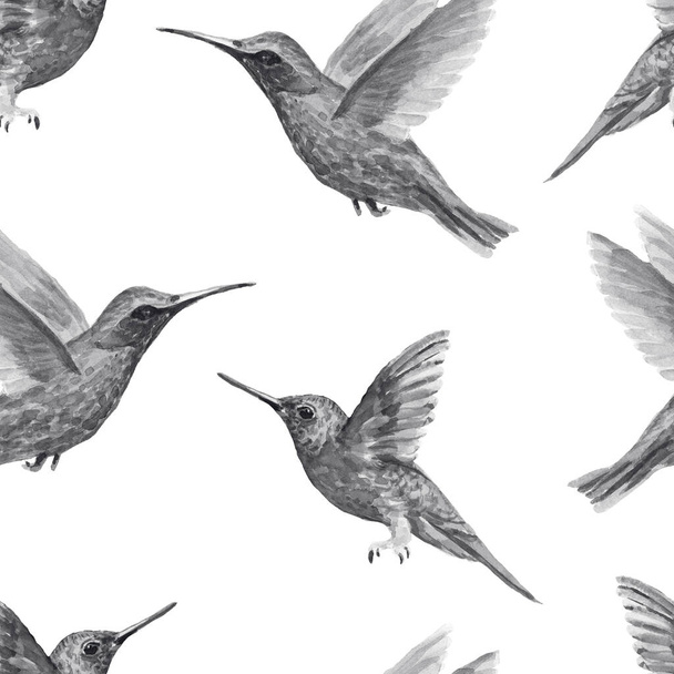 Vogel Kolibri Aquarell handgezeichnete Illustration. Muster nahtlosen Druck textilen Realismus Skizze vintage - Foto, Bild