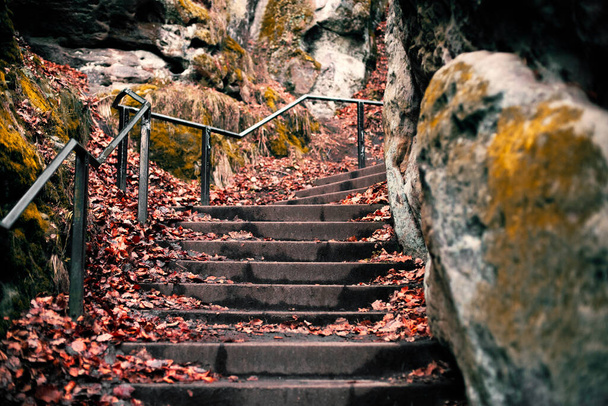 Scale di pietra che conducono alle montagne rocciose disseminate di foglie rosse - Foto, immagini