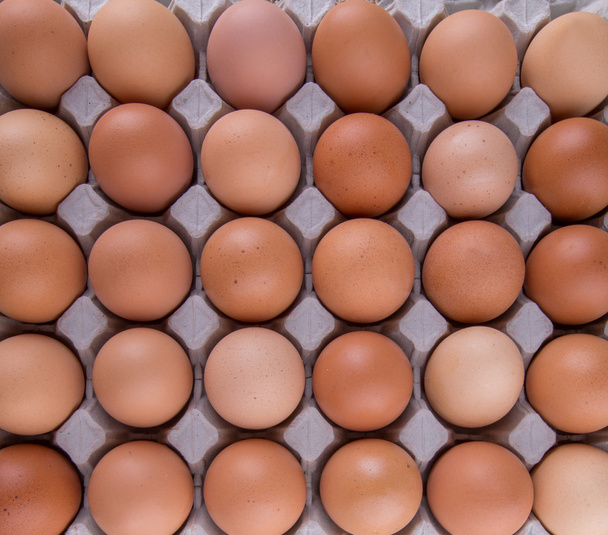Chicken Egg - Fotografie, Obrázek