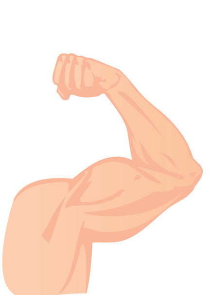 Ilustración vectorial una mano humana y un bíceps
 - Vector, imagen