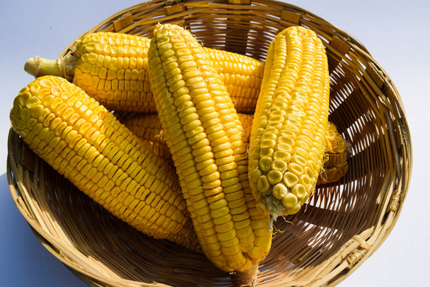 Куча кукурузных початков, также называемых початок кукурузы также knwn как кукурузы целые овощи, собранные и положить в плетеную корзину на белом фоне - Фото, изображение
