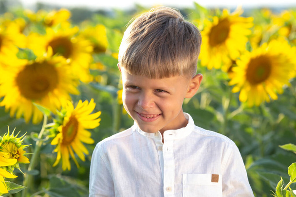 heureux garçon se tient dans un champ de tournesols en fleurs - Photo, image