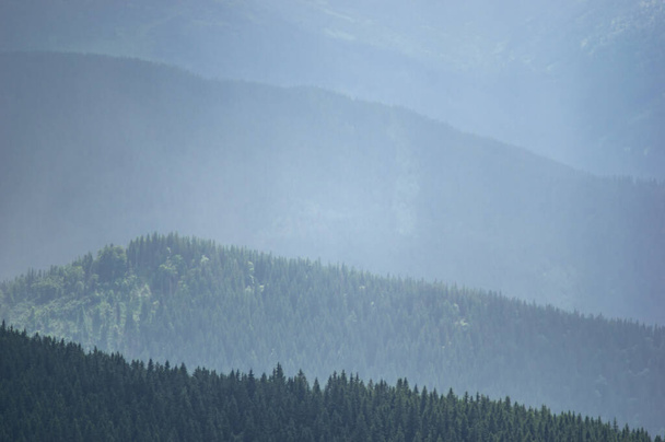 Карпатские горы и леса в тумане в летний день, красивый пейзаж - Фото, изображение