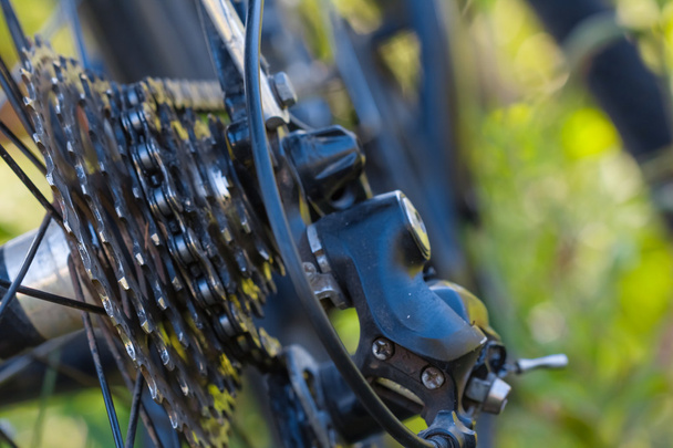Closeup bicycle wheel - Foto, Imagen