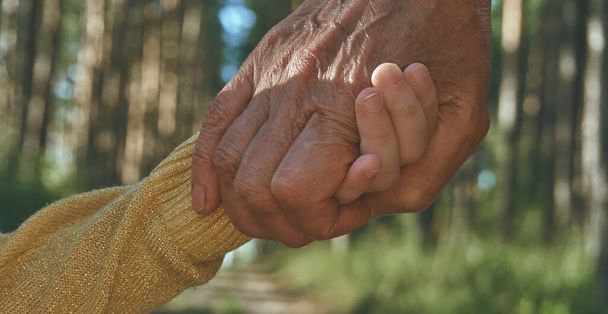 Двоє людей тримаються за руки, старше і молодше покоління людей, бабуся і онука тримаються за руки. Прогулянка в парку на свіжому повітрі
 - Фото, зображення