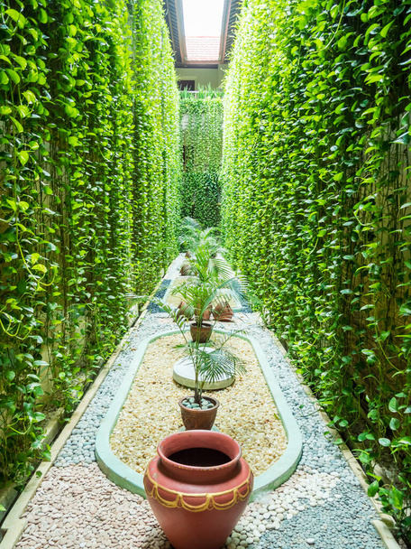 Bali-Gärten bieten Schönheit, Frieden und Ruhe in einer üppigen Umgebung - Foto, Bild