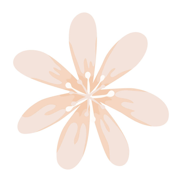 vanilla flower design - Vector, Image