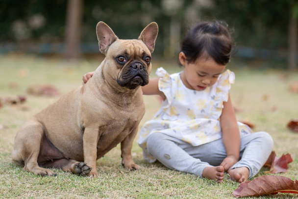 A cute little Thai girl sitting with her French bulldog in a park - Foto, Bild
