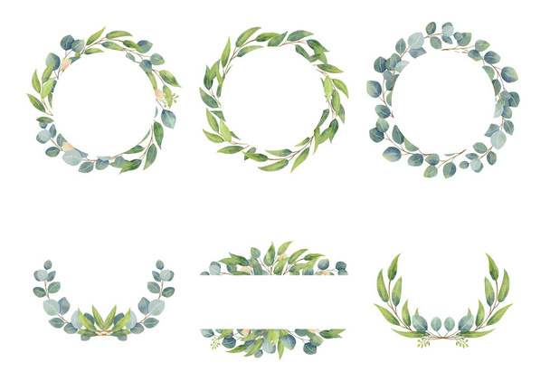 Eukaliptusz ágak koszorúk akvarell stílusban. Esküvői zöld kör dekoratív design elemek. - Vektor, kép