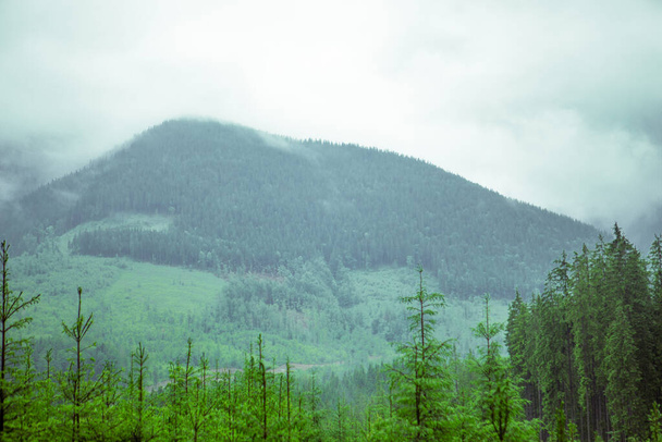 Karpaattien vuoristossa maisema luonnonkaunis - Valokuva, kuva