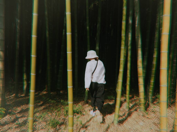 mujer joven caminando en el bosque - Foto, imagen