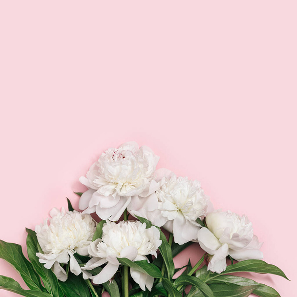 Bouquet of white peony flowers on pink background with copy space. Summer blossoming delicate peony, seasonal floral design card - Foto, immagini