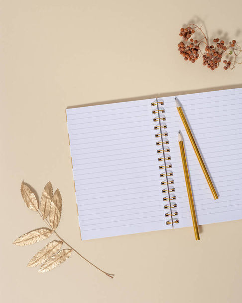 Top view of open school notebook with blank pages and pencils for writing notes. Creative workspace at home with gold and neutral autumn shades. - Fotografie, Obrázek