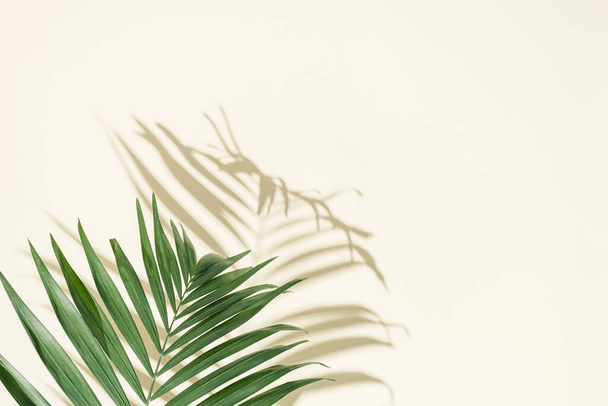 Summer minimal background with natural green palm leaves with sun shadows on light yellow paper with copy space. Pastel colored aesthetic photography with palm plant. - Valokuva, kuva