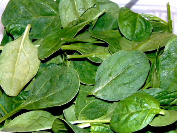 spinach leaves close up - food - Photo, Image