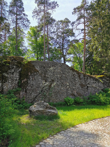 Ogrodzenie głazu obok ścieżki utwardzonej brukowcami w skalistym parku naturalnym Monrepos miasta Vyborg w jasny letni dzień. - Zdjęcie, obraz