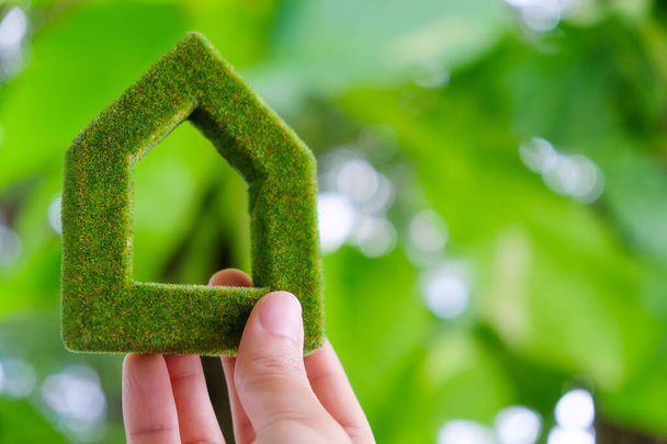 Концепция иконы зеленого дома, содержащая икону зеленого дома - Фото, изображение
