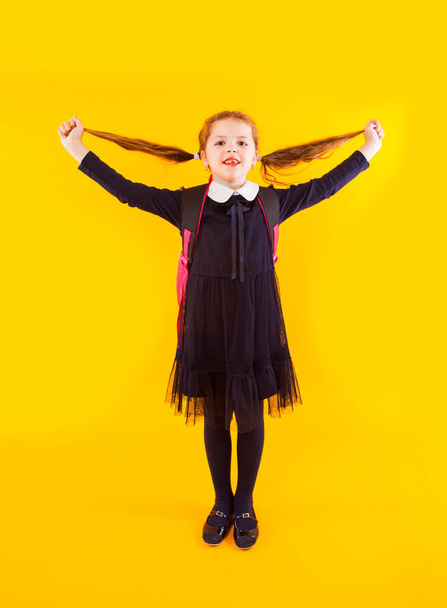 The joyful schoolgirl is ready back to school - Valokuva, kuva