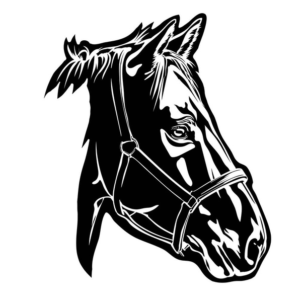 Silueta vectorial de la cabeza de un caballo, cabeza de caballo sobre fondo blanco - Vector, Imagen